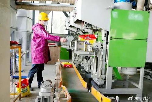 平江首屆貼磚大師技術交流會召開，聚焦環保砂漿技術開發與應用