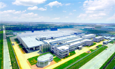 伊利攜手印尼，以科技守護紅樹林，共筑綠色未來